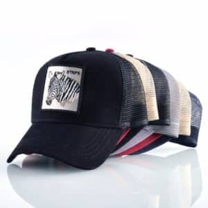 Zebra hat